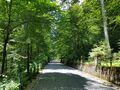 roumanie 013
